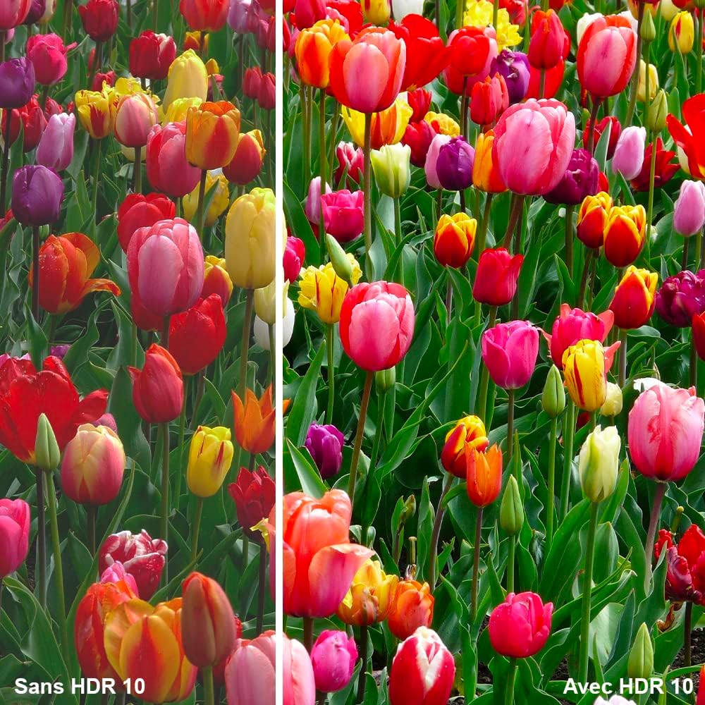 Strong - Smart TV 40″ (100 cm) Full HD SRT40FD5553 - with Android TV - Immagini eccezionali - Triple Tuner - 3 HDMI ports (1 ARC) + 2 USB ports + AV + Input antenna/satellite - Black